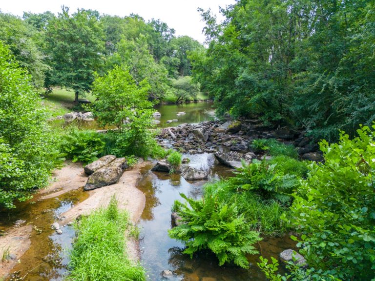 Etude sur les rivières et les milieux aquatiques